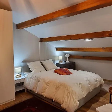 Duplex Lumineux 6/7 Pers, Acces Pistes, Wifi, Animaux Acceptes - Fr-1-181-2836 La Plagne-Tarentaise