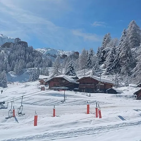 Duplex Lumineux 6/7 Pers, Acces Pistes, Wifi, Animaux Acceptes - Fr-1-181-2836 * La Plagne-Tarentaise