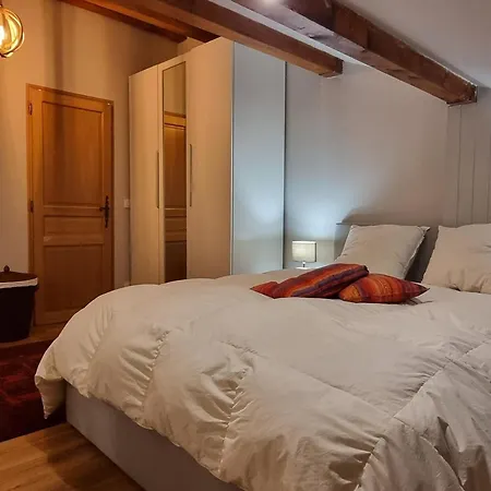Duplex Lumineux 6/7 Pers, Acces Pistes, Wifi, Animaux Acceptes - Fr-1-181-2836