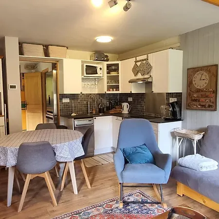 Duplex Lumineux 6/7 Pers, Acces Pistes, Wifi, Animaux Acceptes - Fr-1-181-2836 Apartment *